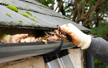 gutter cleaning Gwernesney, Monmouthshire