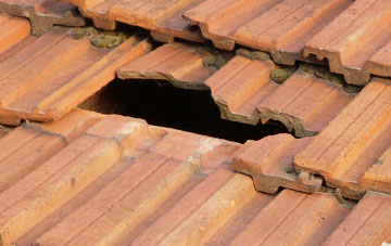 roof repair Gwernesney, Monmouthshire